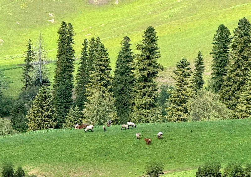 自己的房屋价值400万，可补偿下来却只有200万？